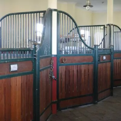 event-schweitzer-2012-075