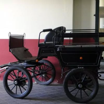 event-schweitzer-2012-077