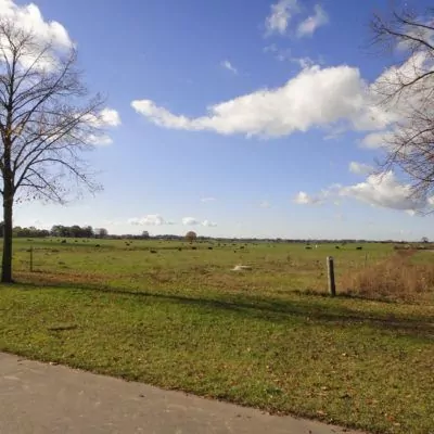 event-schweitzer-2012-081