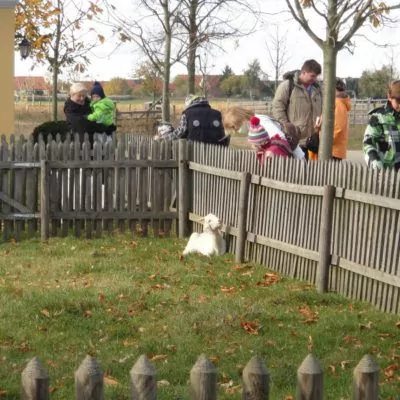 event-schweitzer-2012-084