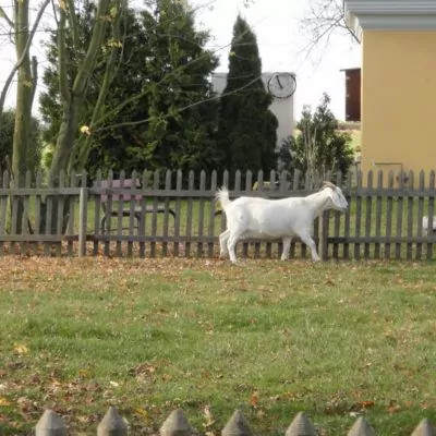 event-schweitzer-2012-085