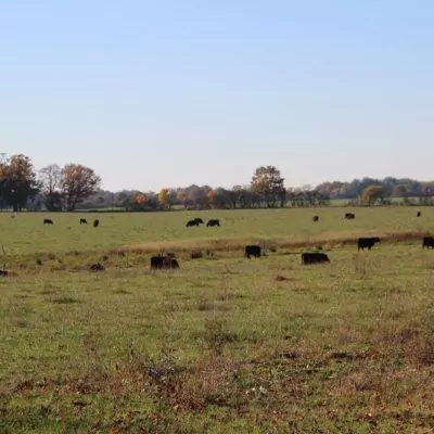 event-schweitzer-2012-240