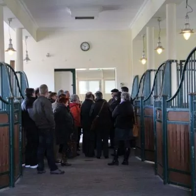 event-schweitzer-2012-261