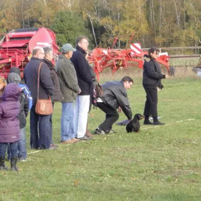 event-schweitzer-2012-269